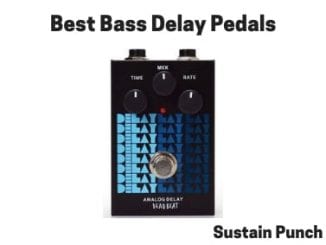 Best Bass Delay Pedals