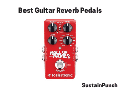 Guitar-Reverb-Pedals Guitar Reverb Pedals and Processing Units