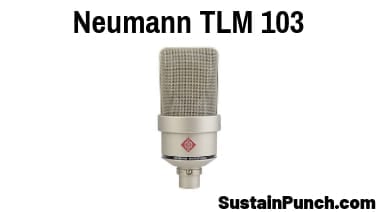 Neumann-TLM-103-Cardioid-Condenser-Microphone-Review Neumann TLM 103 Condenser Microphone Review