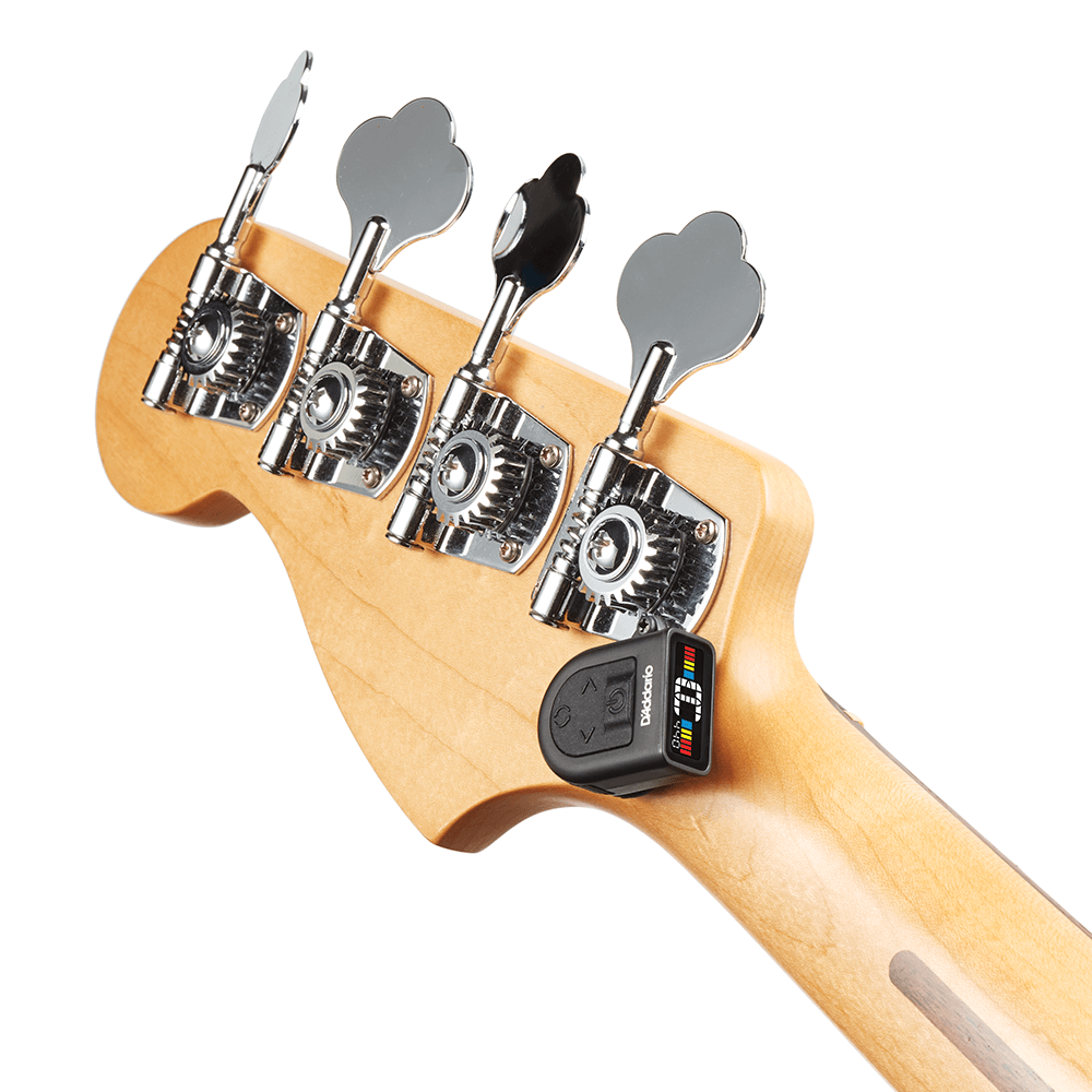 10 Best Clip On Bass (2021 Review)